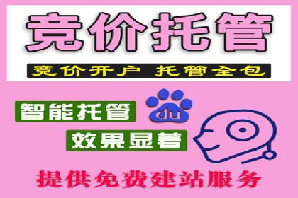 案例分析：百度推广排名提升的优化策略
